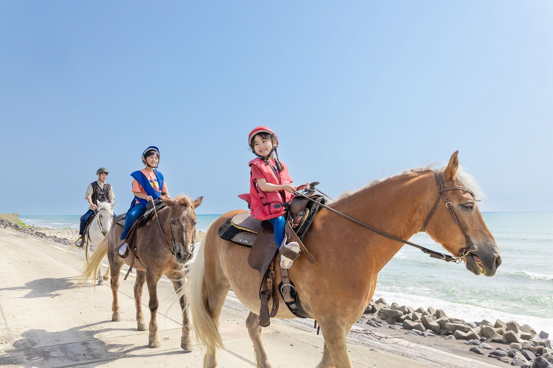 シーガイア乗馬クラブ UMAIRU | 【公式】フェニックス・シーガイア