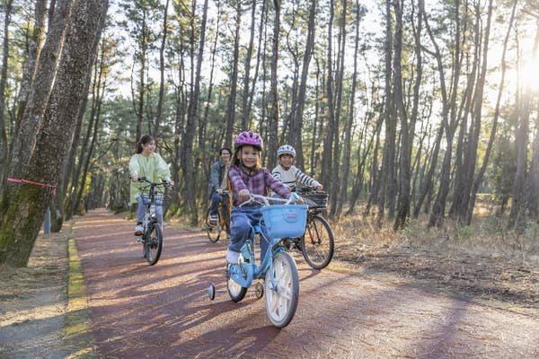 レンタサイクル