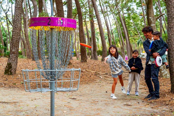 ディスクゴルフ