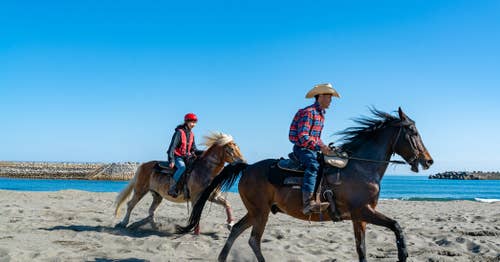 すべてのアクティビティー