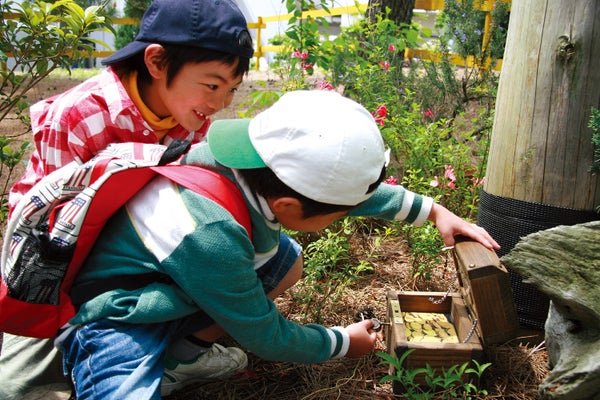 フォレスト宝探し