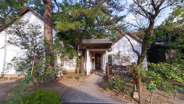 近隣おすすめ店舗情報