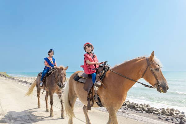 Seagaia Horseback Riding Club "UMAIRU" 보기