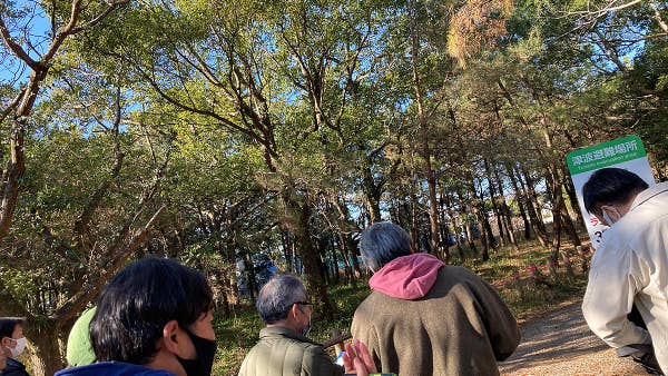 地域と連携した取り組み - フェニックス・シーガイア・リゾートのサステナビリティ