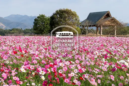 【申込受付中】10月30日（金）花と歴史と美味しさを満喫する西都原の休日