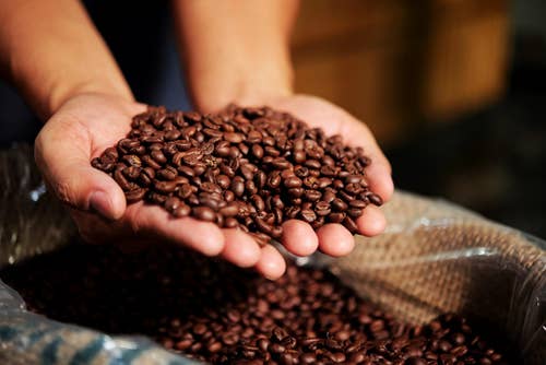 SEAGAIA ROASTERY