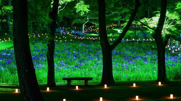 阿波岐原森林公園 市民の森