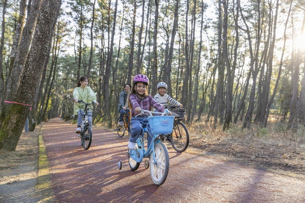 レンタサイクル