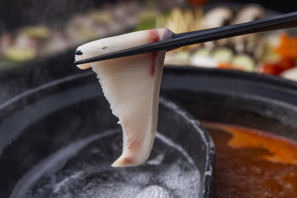 【新菜單】 黑瀨鰤魚涮鍋