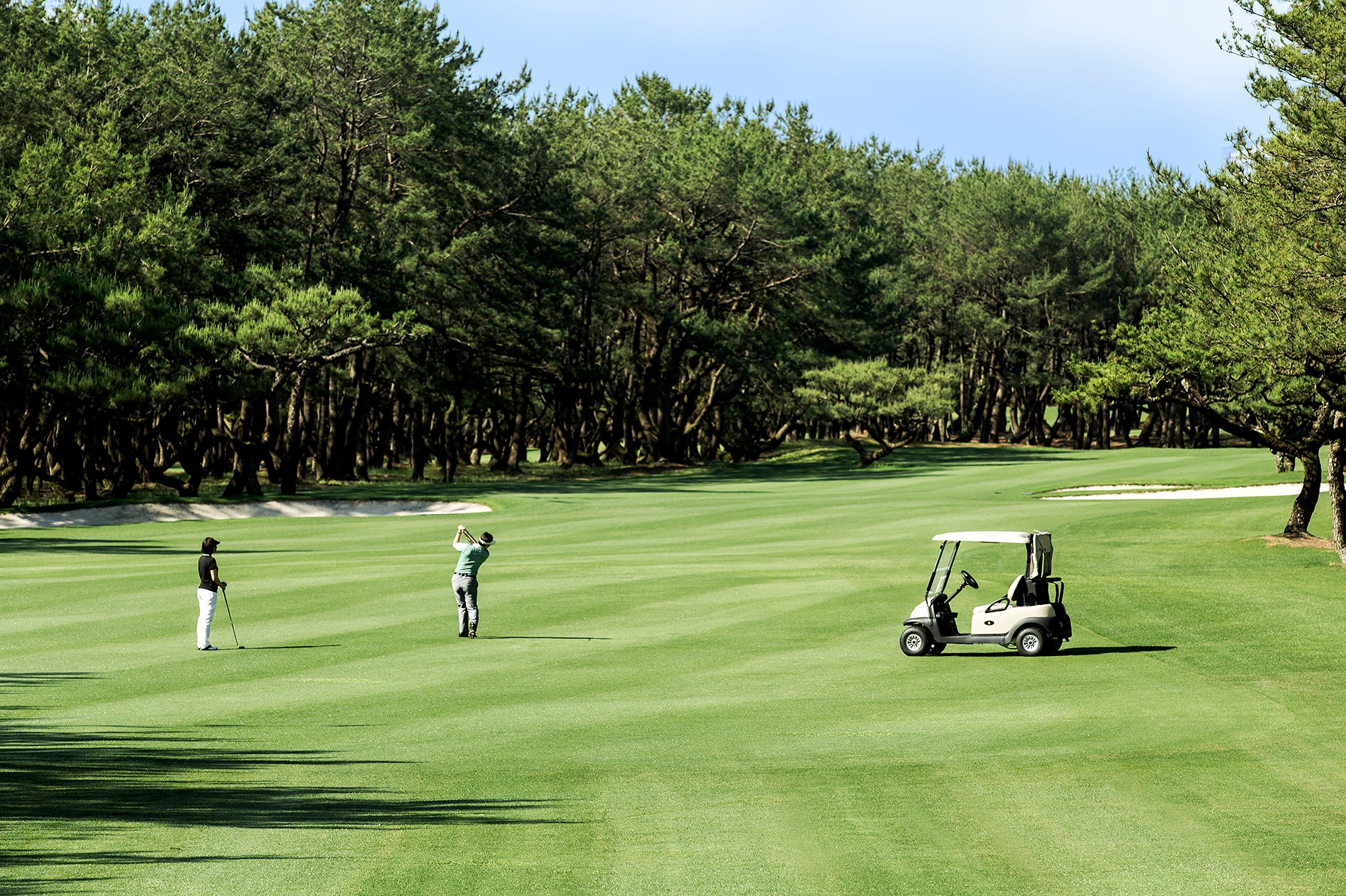 ラウンド用乗用カート | 【公式】フェニックス・シーガイア・リゾート