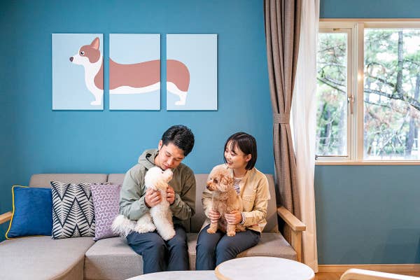 自然の中で愛犬と一緒に楽しむリゾートステイ